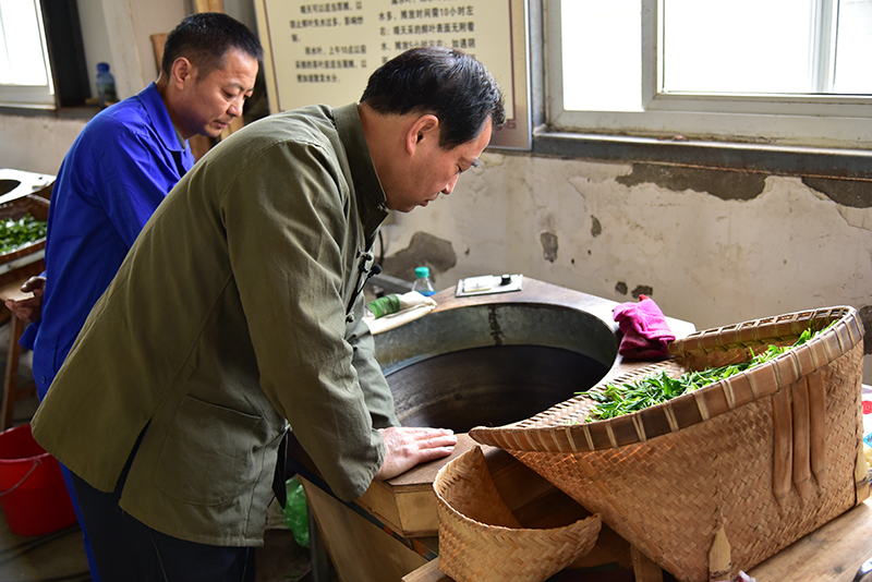 安徽黄山太平猴魁茶文化系统